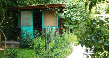 Great Experience, Warm Home