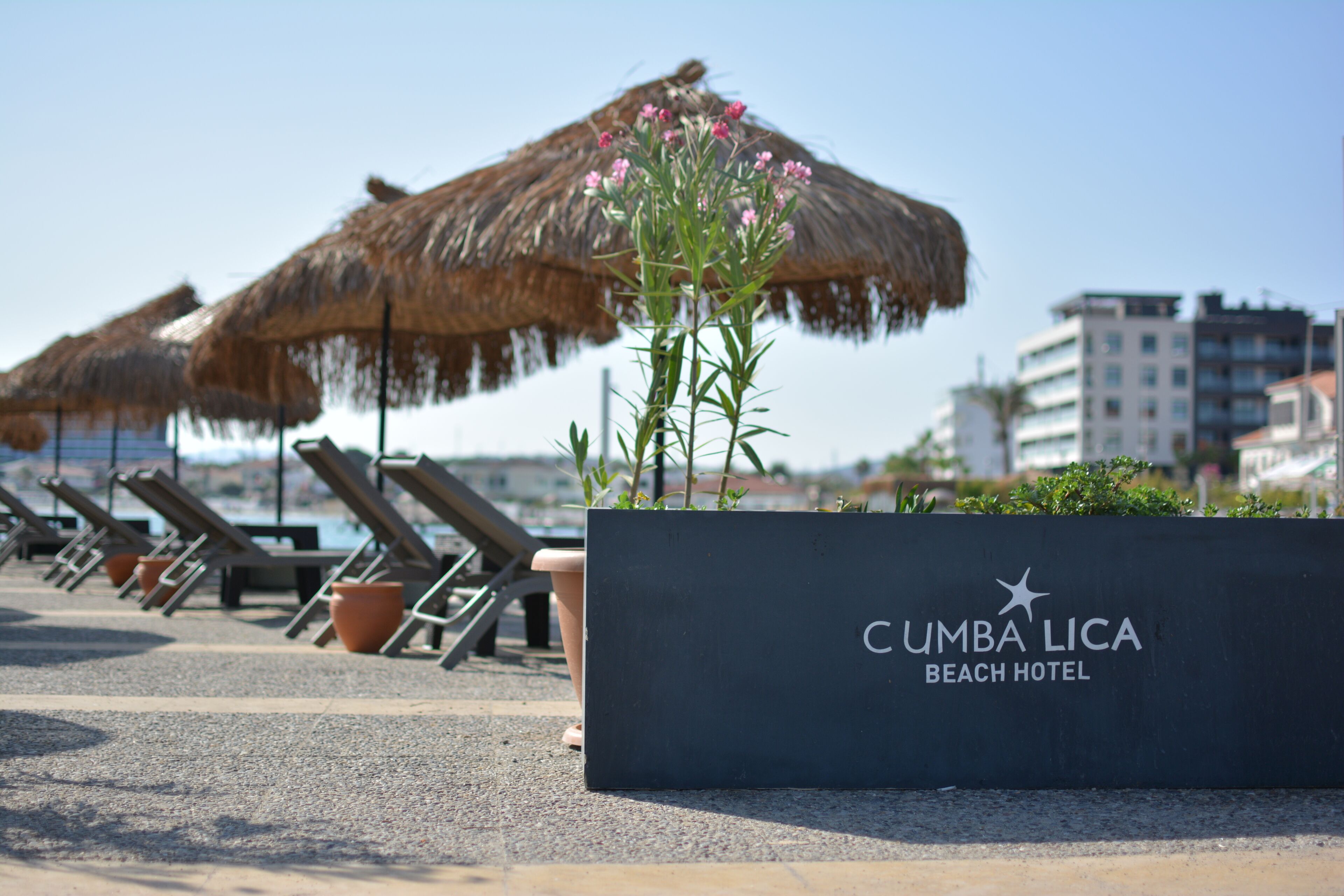 A beach hotel with lounge chairs and thatched umbrellas.