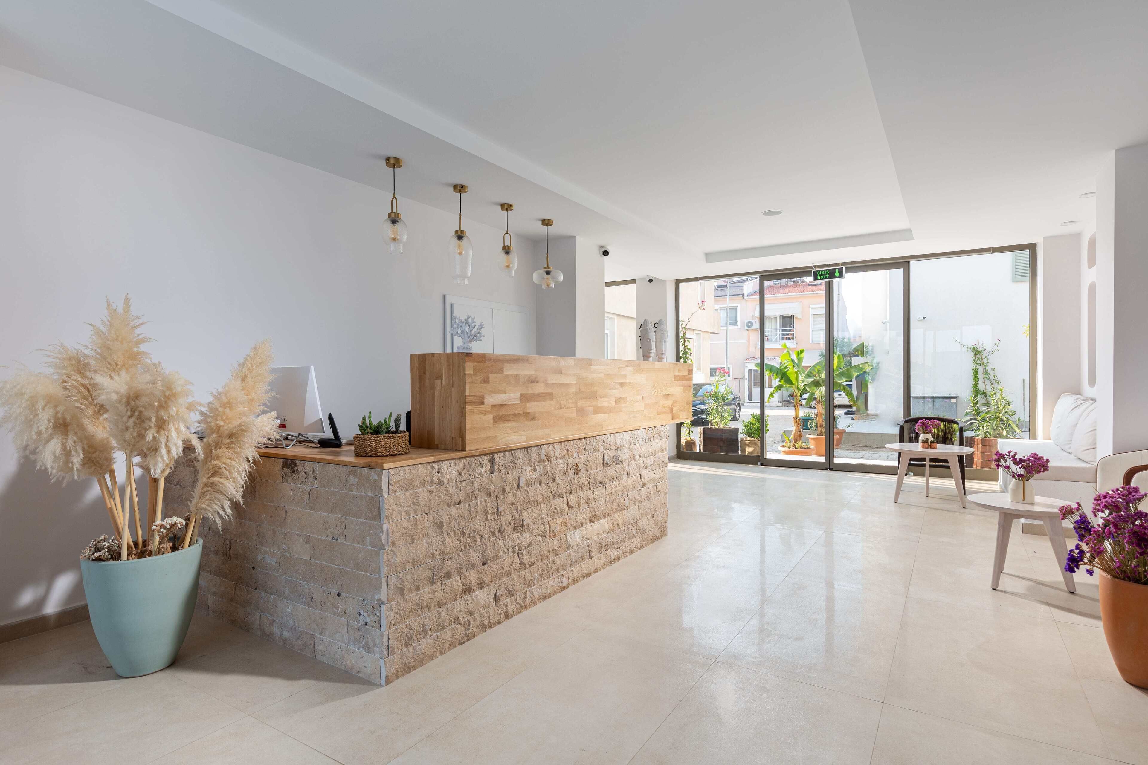 A modern reception area with a wooden reception desk, a potted plant, and a view of the outside through large windows.