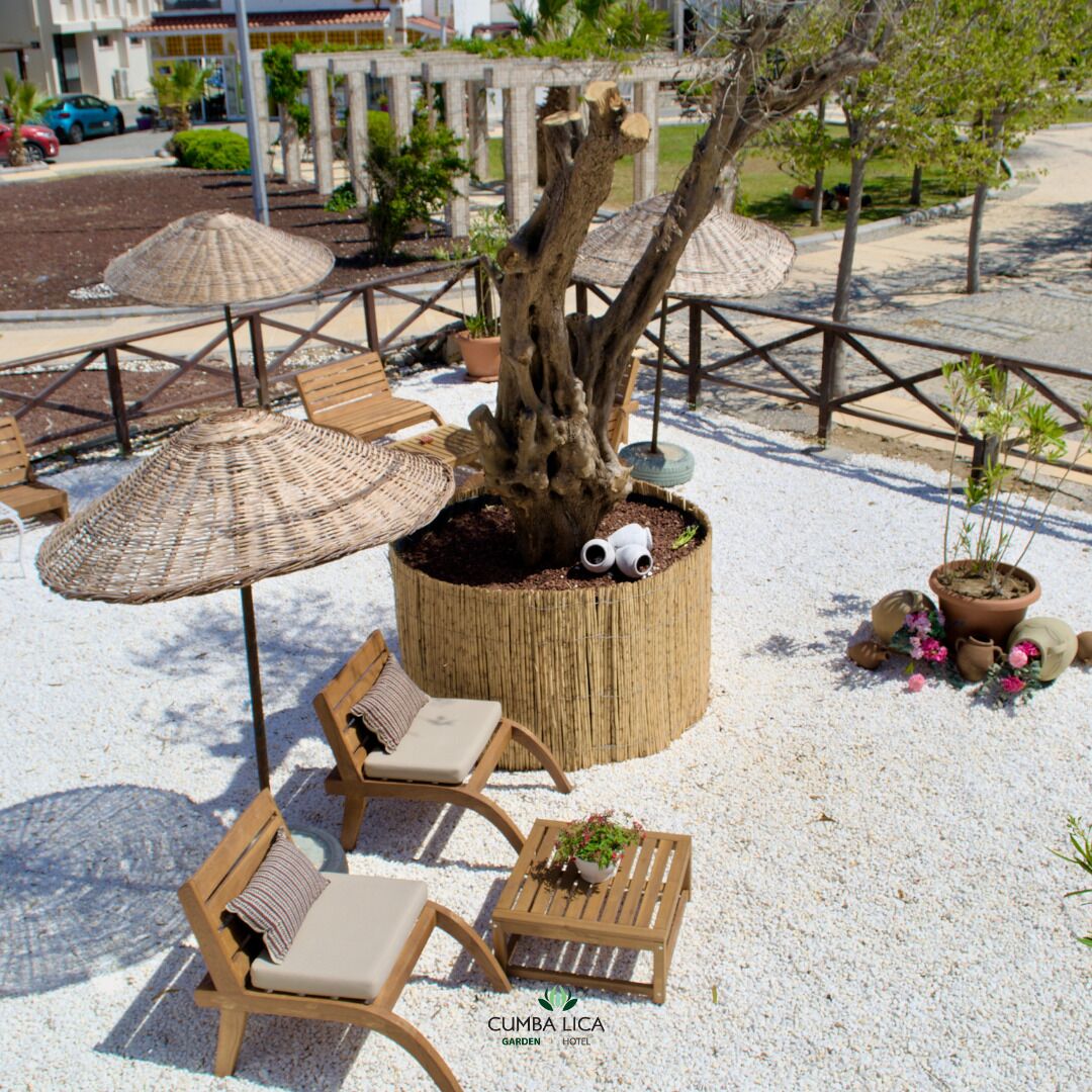 Un área de estar al aire libre con muebles de mimbre y sombrillas, una jardinera de madera con un tronco de árbol y una pequeña mesa con una planta.