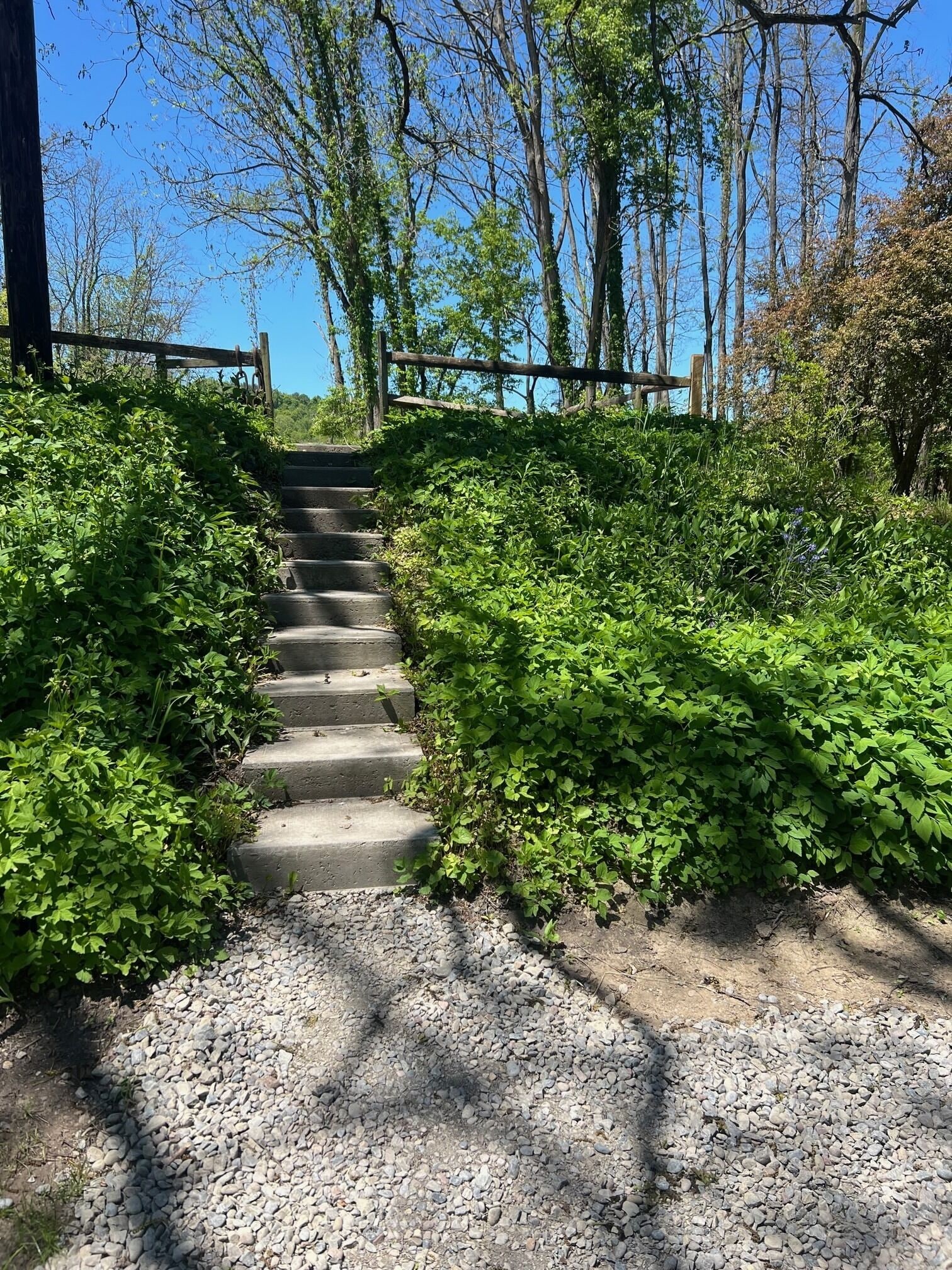 Stairs that lead to the Parking Area
