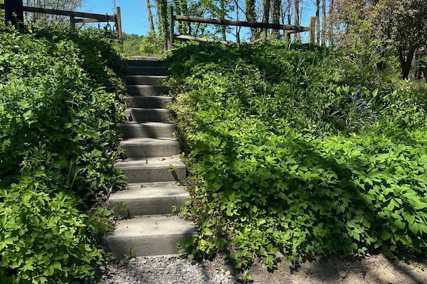 Stairs that lead to the Parking Area