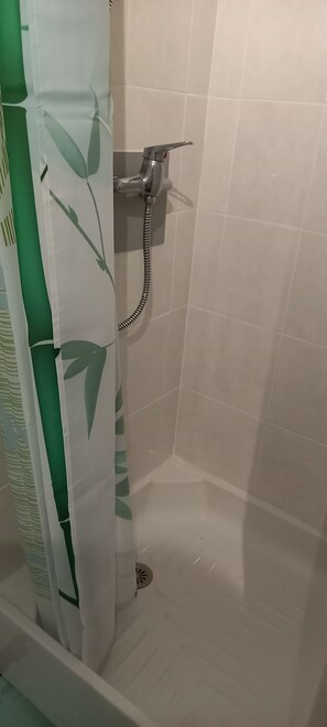 Shower, hair dryer, soap, toilet paper