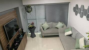 Smart TV, DVD player, books