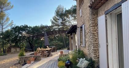 Large Mas in the Roussillon pine forest, heated swimming pool
