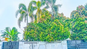Uma área cercada por um muro de concreto e portões metálicos decorativos, rodeada por vegetação exuberante e altas palmeiras.