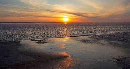 Sunset Shanty is the place to be-Relax at the Shanty! Say "Cheeseburger"