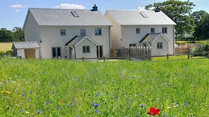 Una zona residencial con dos casas blancas, un cobertizo pequeño y un campo de flores silvestres.