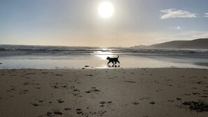 A beach with a dog walking on the sand, the sun is low in the sky, and the ocean is visible in the background. - Subterranean Studio with Panoramic Views & Sauna (Pembrokeshire)