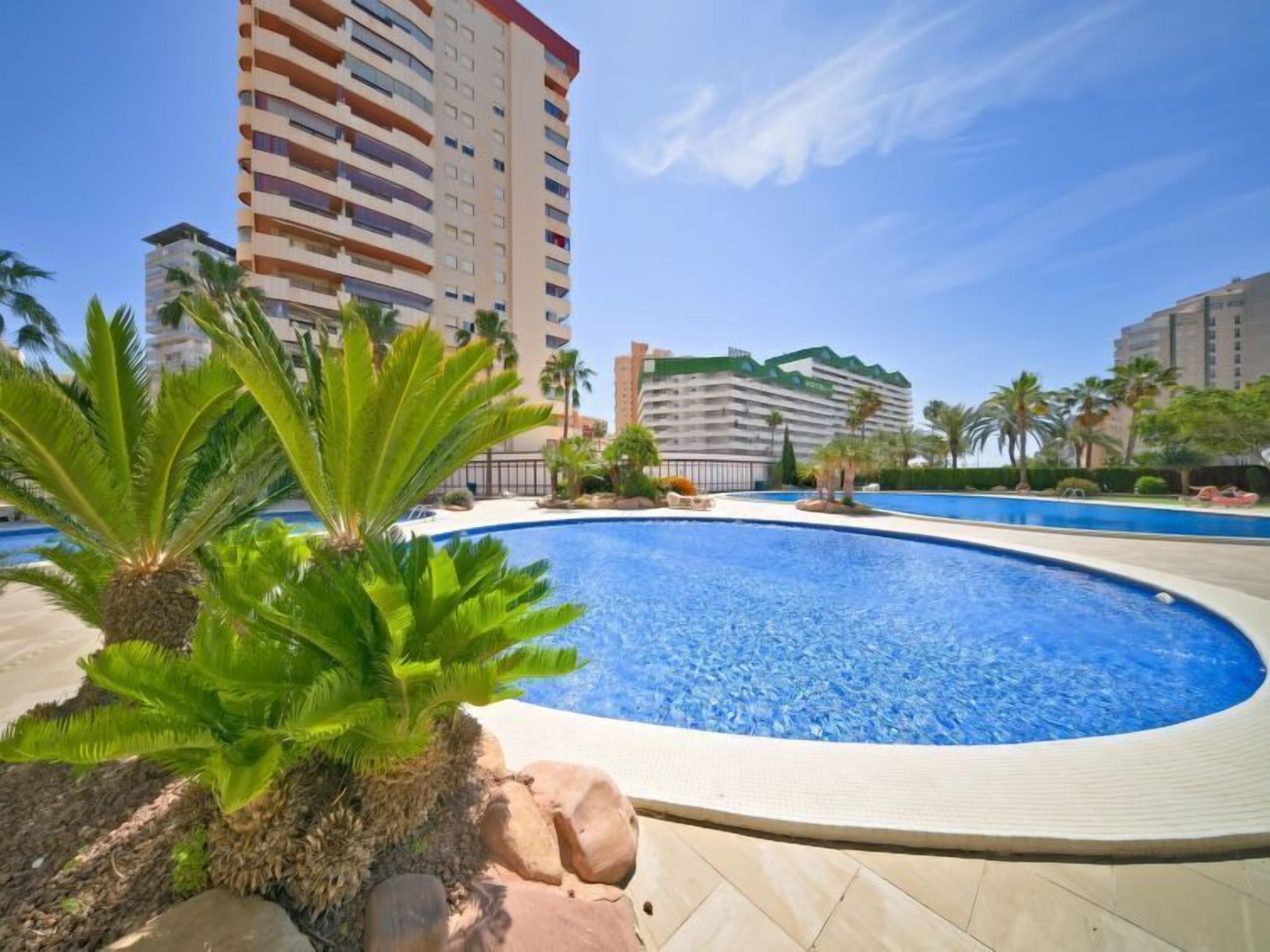 Uma piscina com borda curva, rodeada por palmeiras e pedras. Ao fundo, edifícios altos.