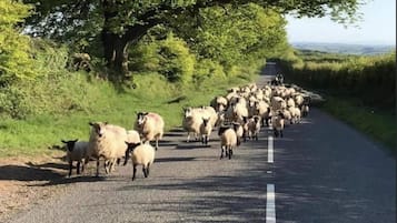 Apartemen | Lain-lain