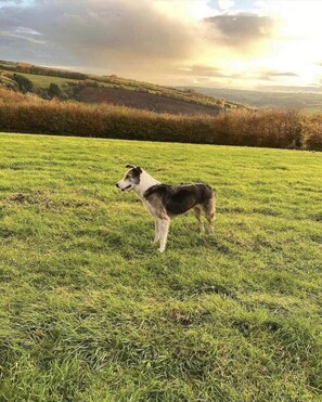 Pet-friendly - Cottage on Exmoor - Sleeps 8 & Parking (Minehead)