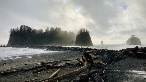 Hidden Meadow Campsite