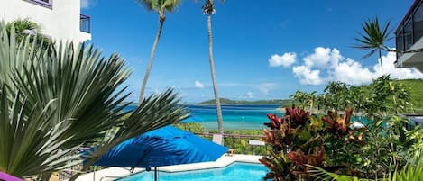 Relax by the serene pool surrounded by lush tropical plants and take in the breathtaking views of the ocean and distant mountains.