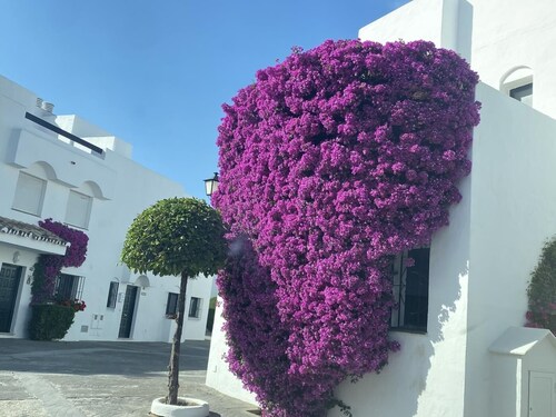 Townhouse in Marbella Guadalvillas