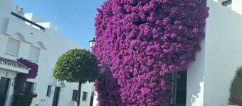 Townhouse in Marbella Guadalvillas