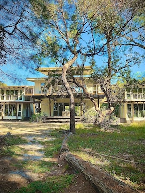 A two-story building with a covered porch and a large tree in front.