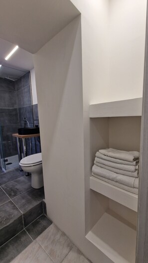 Shower, hair dryer, towels, soap