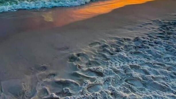 A beach with waves and a sunset. - Book Sailfish Sands Now! Oceanfront 3BR + Amazing Views & Special Deals (Cocoa Beach)
