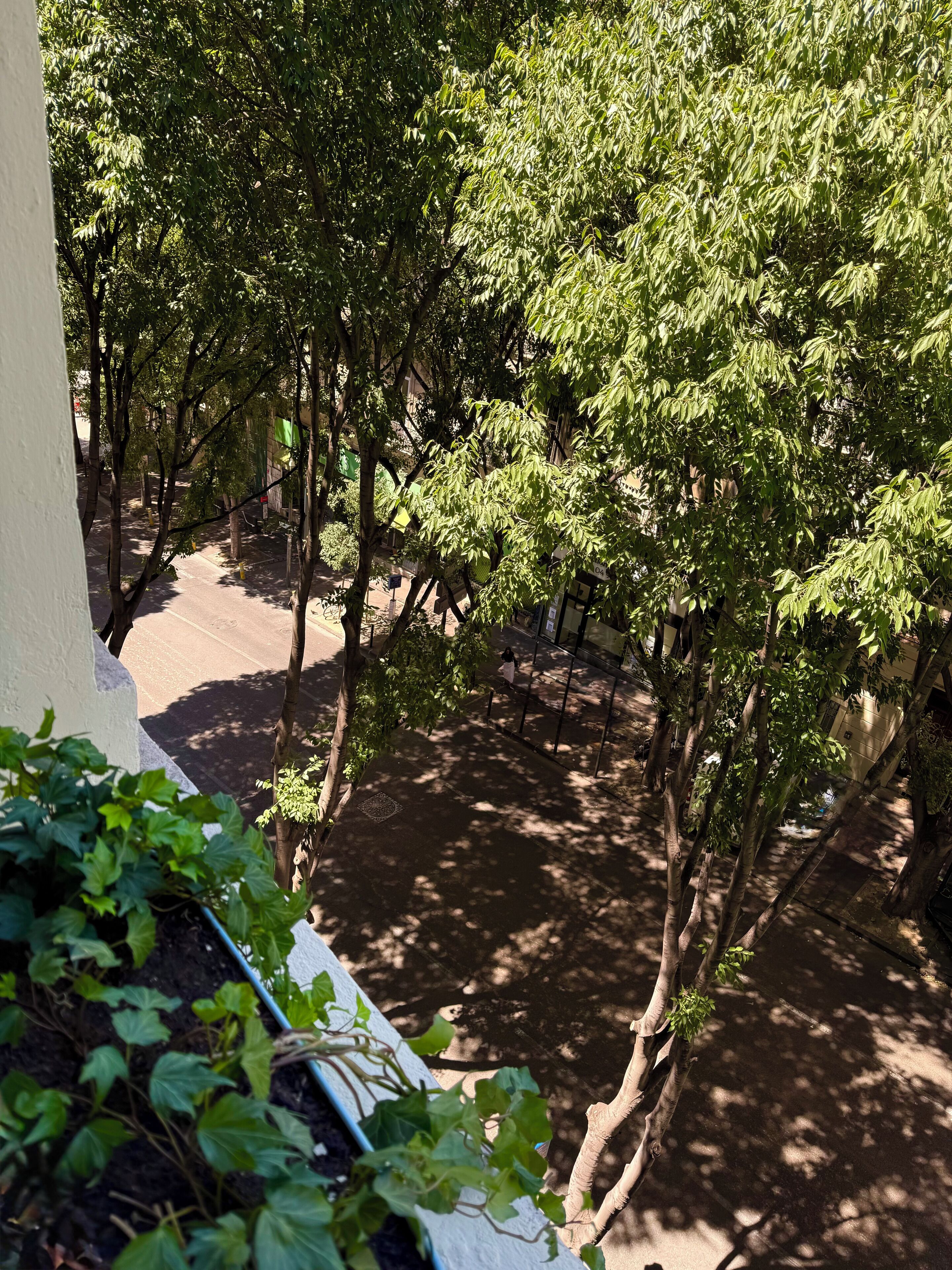 Foto - Boutique Hôtel Provencia