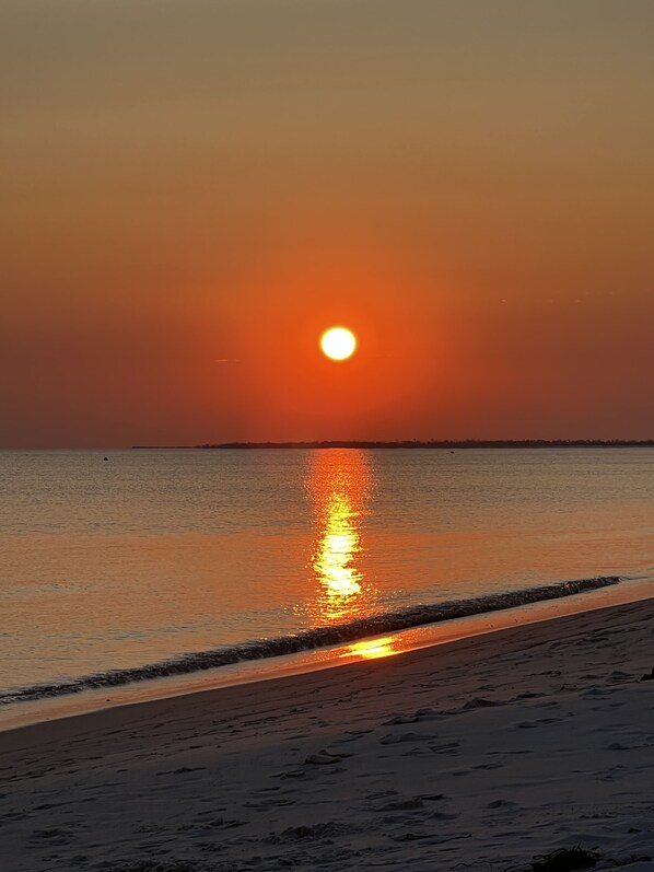 Camastros y toallas de playa 