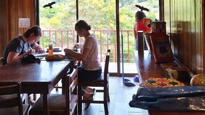 Living area - Monteverde Monkey hostel (Monteverde)