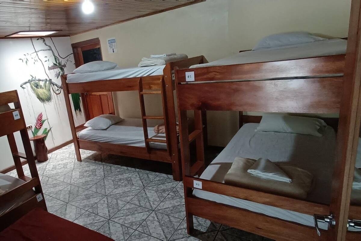 Basic Shared Dormitory | WiFi (free), bed sheets
