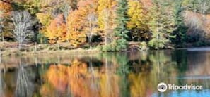 Escape to a serene lakeside retreat surrounded by lush trees.