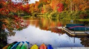 Guests can enjoy serene lake views from the dock, surrounded by lush trees and a tranquil atmosphere.