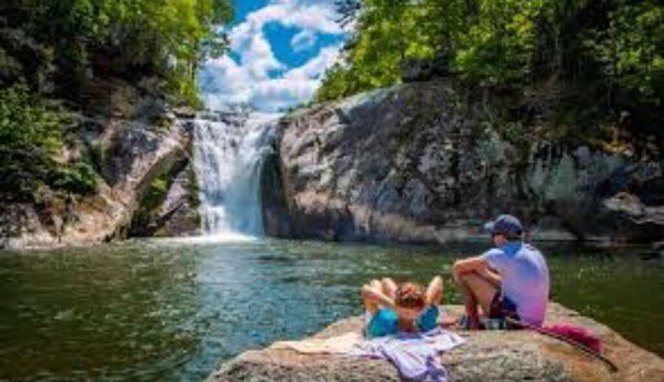 Guests can relax beside a serene waterfall and pool, surrounded by lush foliage.