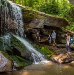 Experience the serenity of a natural waterfall surrounded by lush forest.