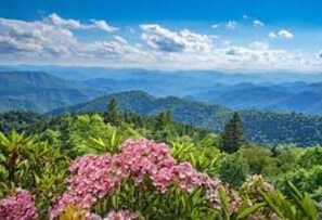Escape to a serene mountain retreat surrounded by lush greenery and vibrant flowers.