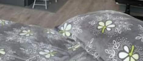 2 quartos, escrivaninha, Wi-Fi