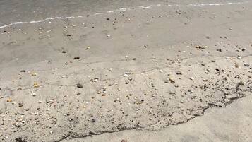 On the beach, sun-loungers