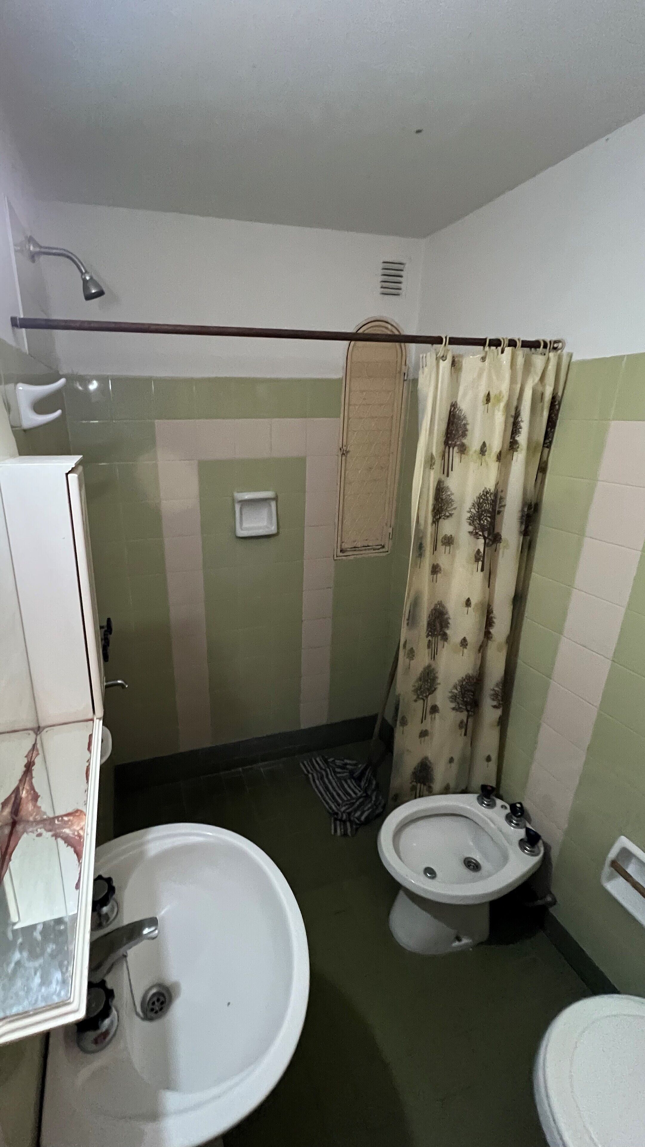 A small bathroom with two sinks, a shower, and a toilet.