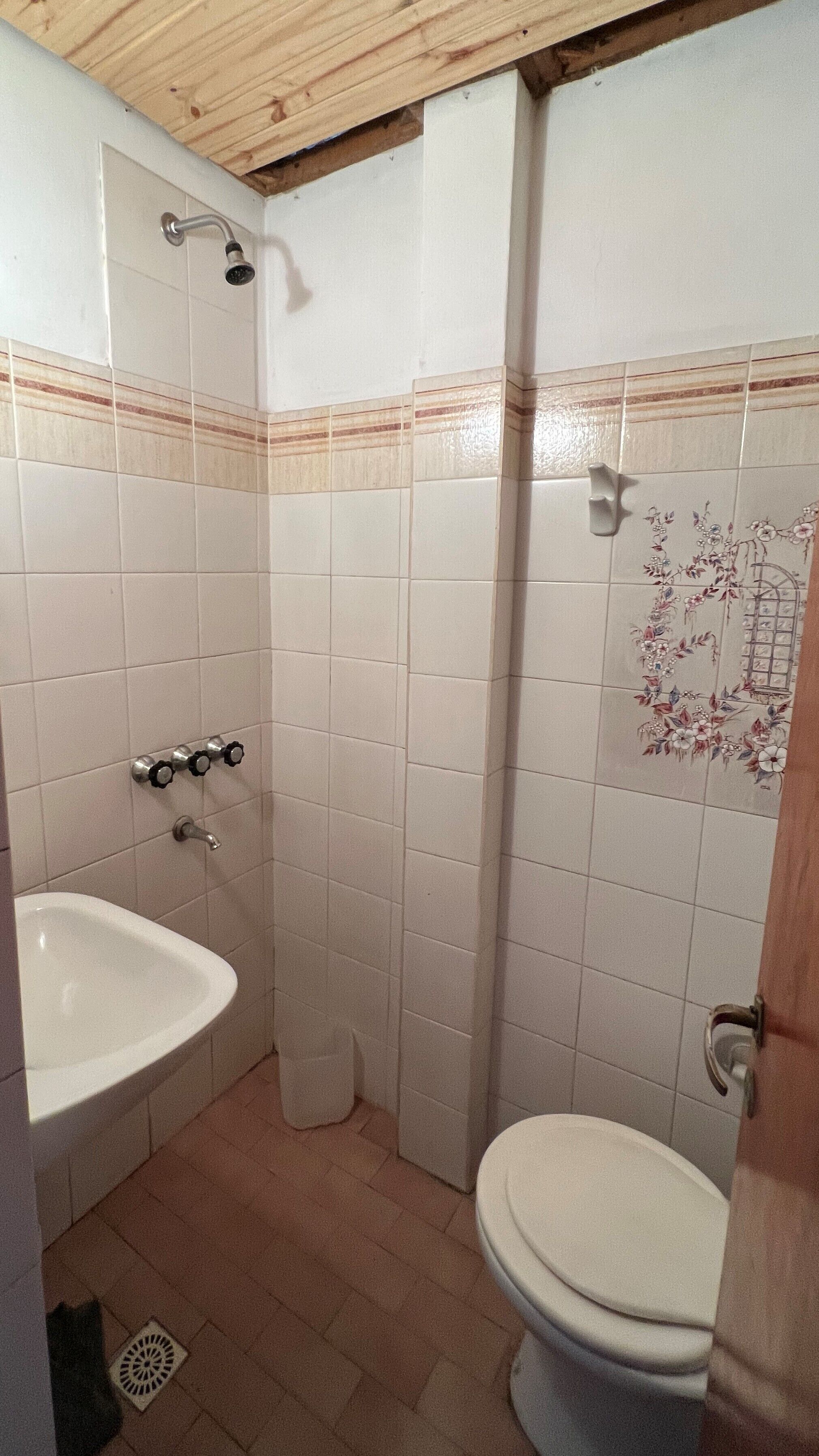 Een badkamer met een douche, een wastafel en een toilet.