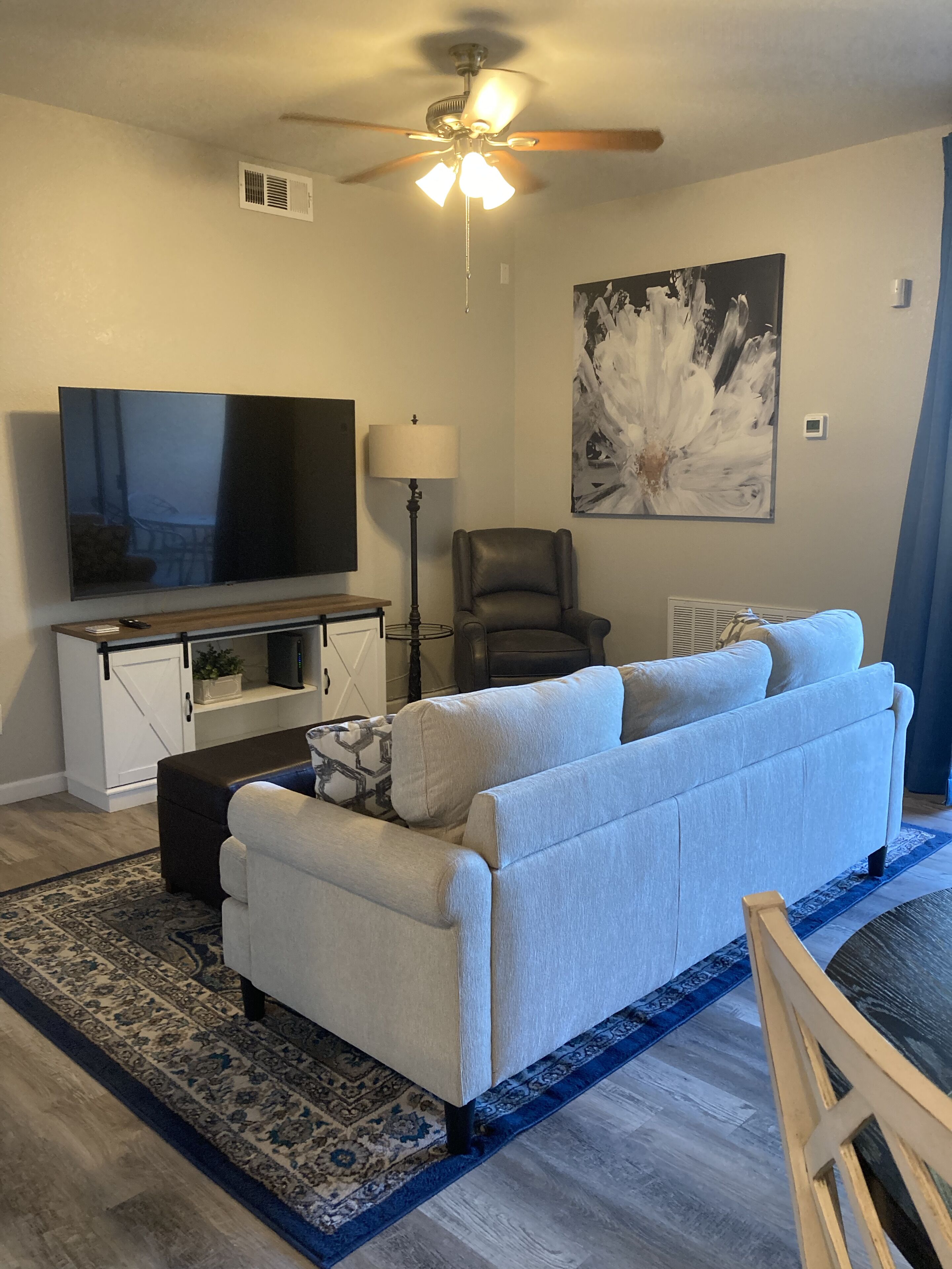 Smart TV, DVD player, books, video library