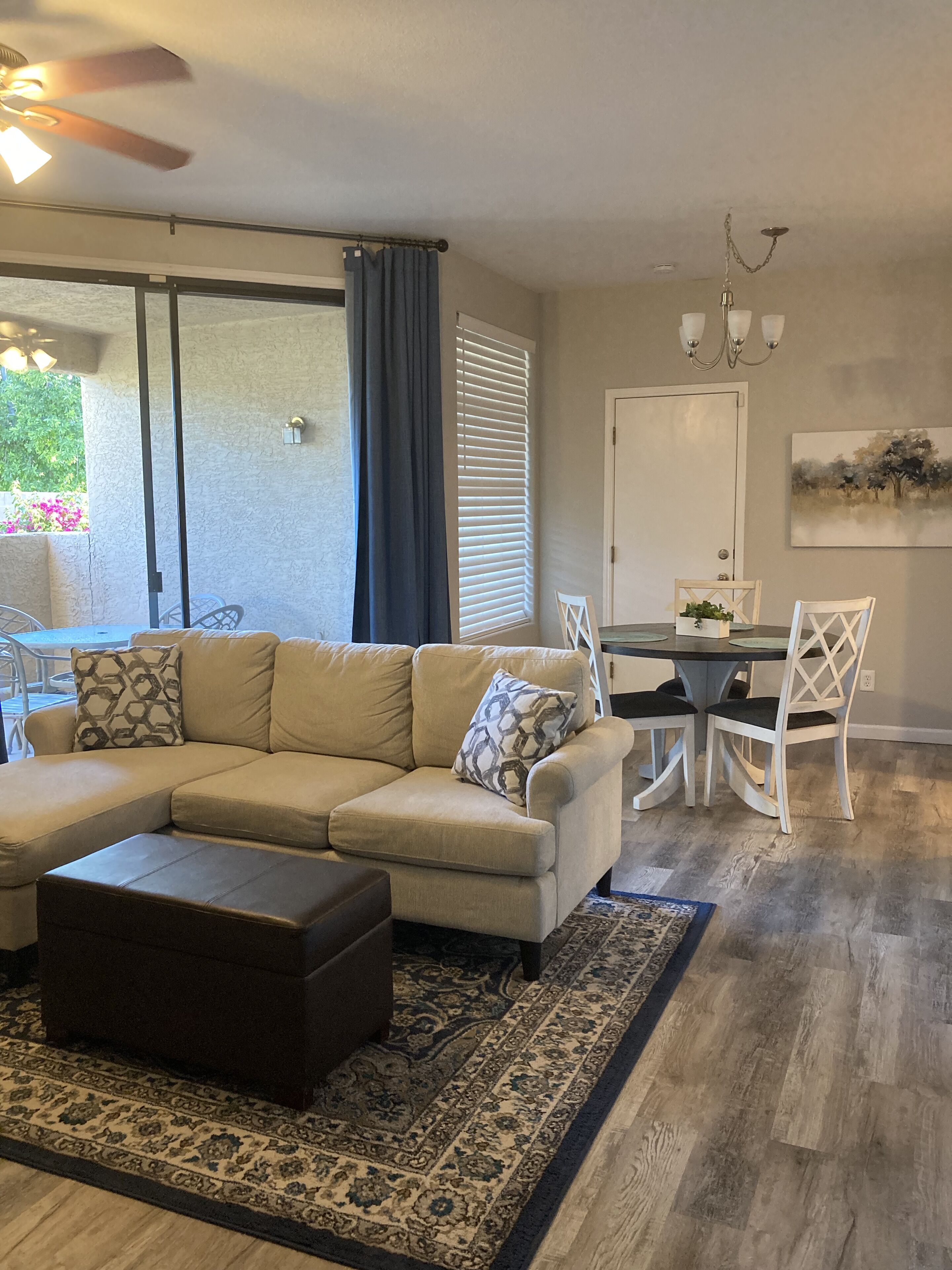 Smart TV, DVD player, books, video library