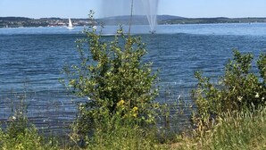 Klar udsigt over en sø med en fontæne i midten, omgivet af grøn vegetation og en fjern sejlbåd på vandet.