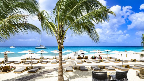 A beach with sun loungers, umbrellas, and a palm tree. - 602- Stunning one bedroom oceanview (Cupecoy)