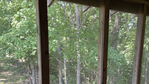 A wooden cabin with large windows overlooking a forested area. - Beautiful loft cabin!  (Baxter)