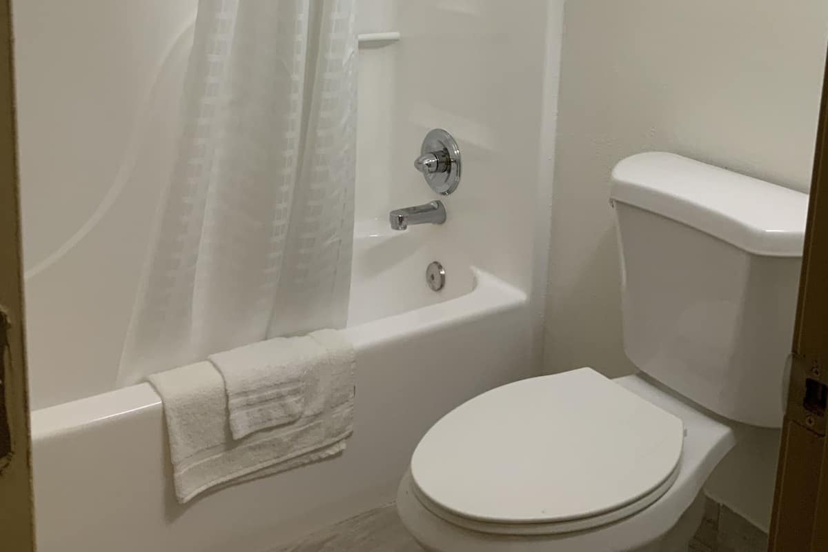 Une salle de bain avec une baignoire, des toilettes et un porte-serviettes.