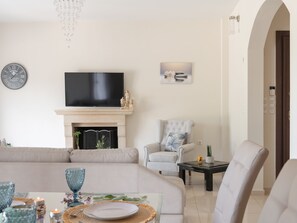 Smart TV, fireplace, books