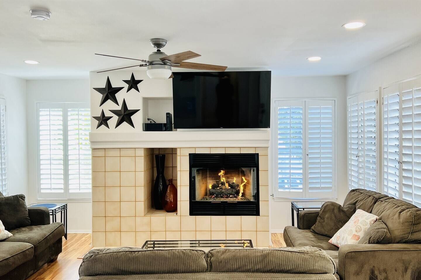Smart TV, fireplace, DVD player, books