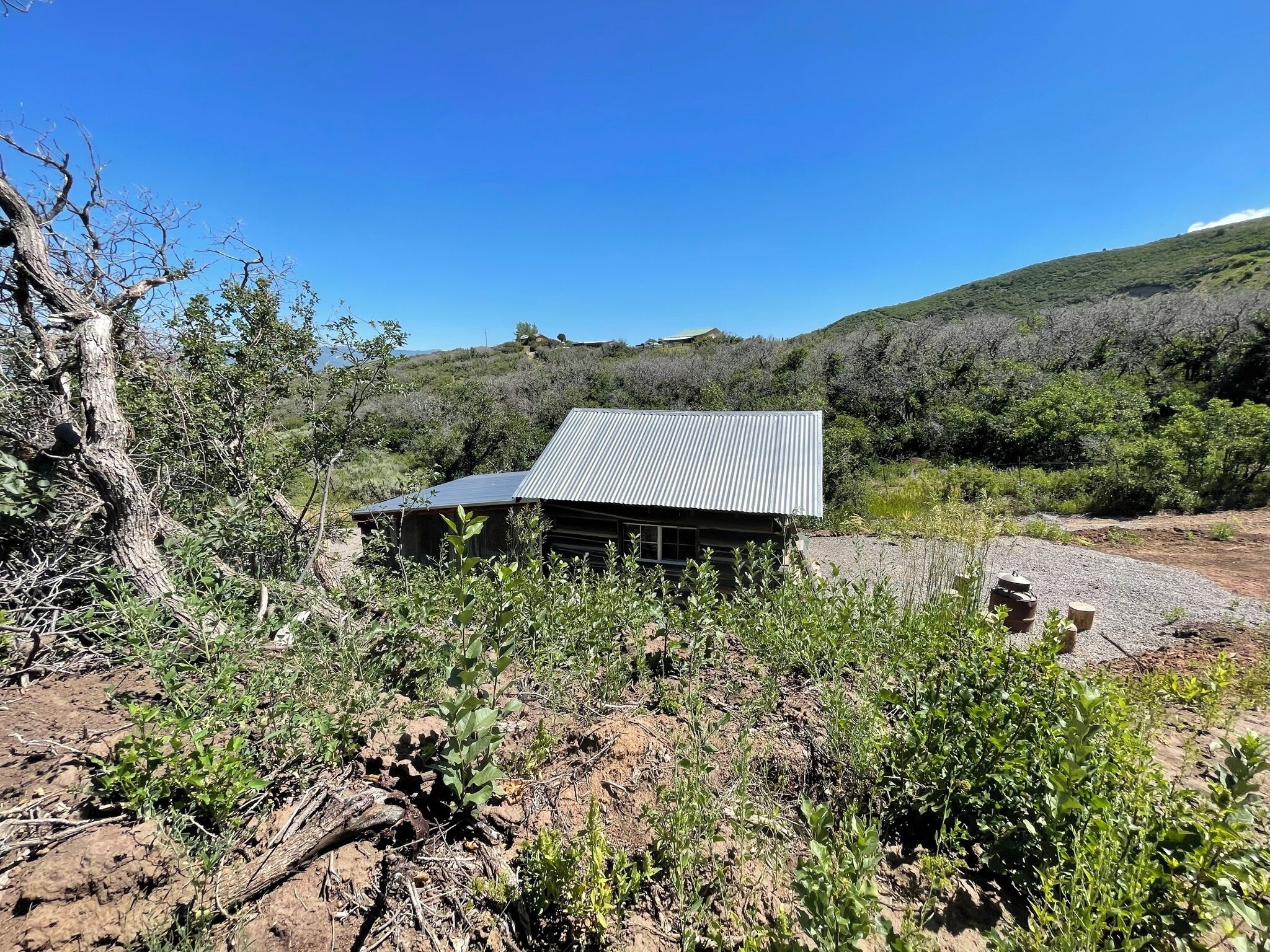 A rustic cabin with a corrugated metal roof, surrounded by dry vegetation and a hillside in the background.