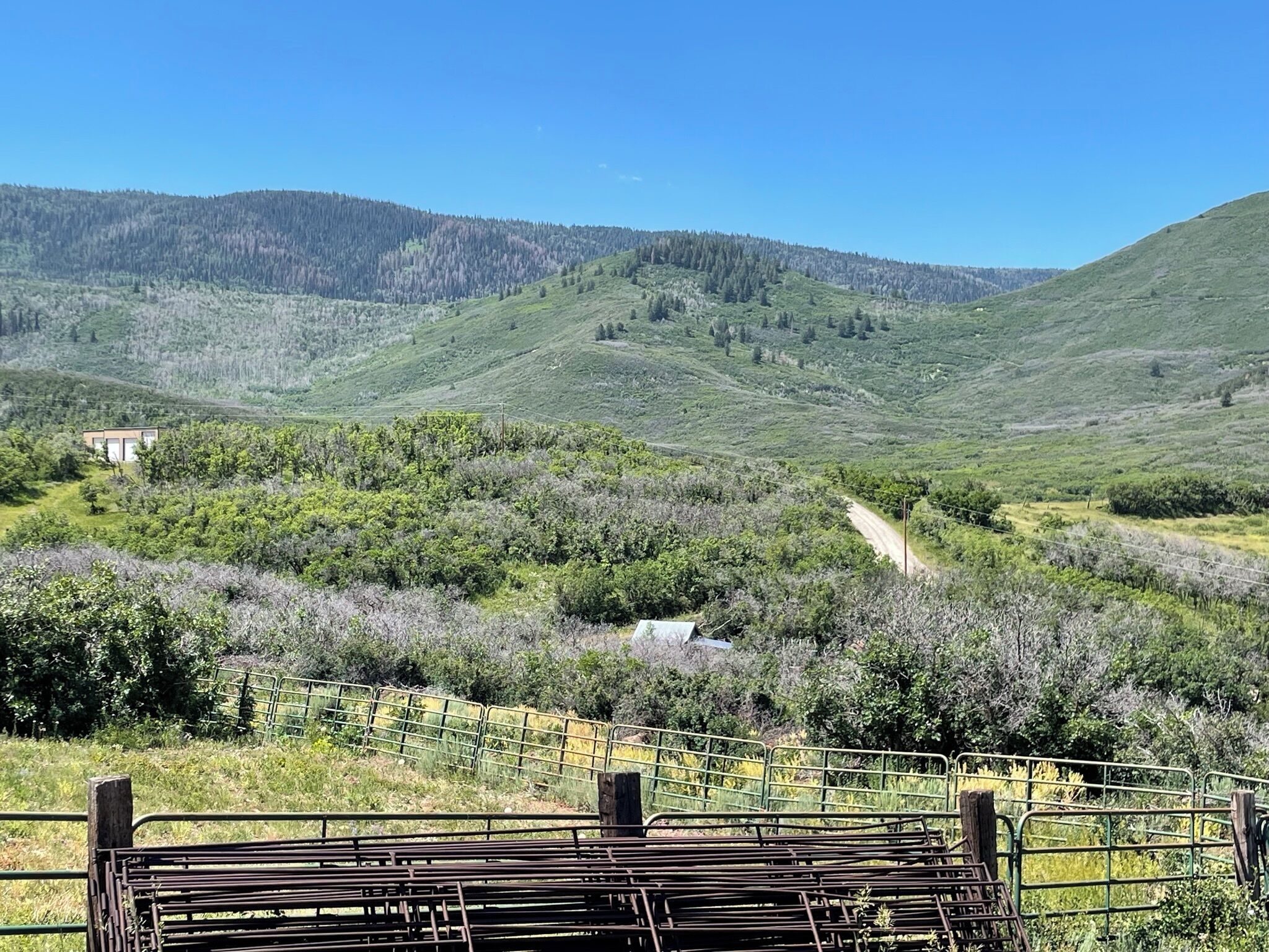 A rural landscape with a dirt road, green hills, and a fenced area.