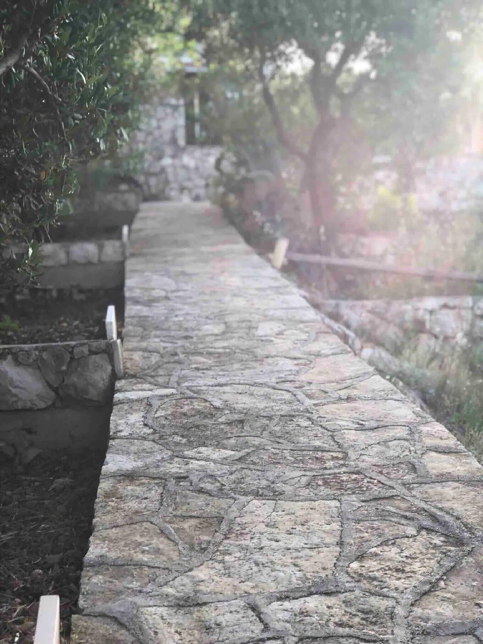 A stone pathway leading through a garden with stone planters and trees.