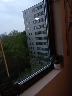 Interior - Cozy 10th Floor Peachtree Road apt. nestled between Buckhead and Midtown. (Atlanta)