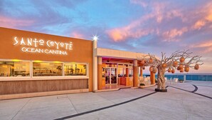 A coastal building named 'Santo Coyote Ocean Cantina' with a view of the ocean and a tree with hanging lights. - Encantame Towers (Puerto Peñasco)