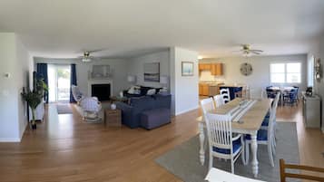 TV connectée, cheminée, lecteur de DVD, livres